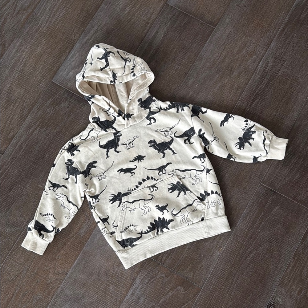 H&M Dinosaur Hoodie (5T)